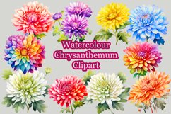 Watercolor Chrysanthemum Clipart Sublimation Product Image 1