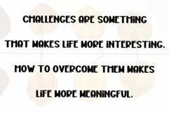 Chubby VIntage Product Image 5