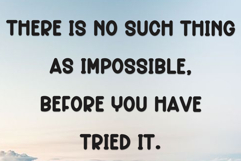 Chubby Product Image 6