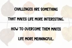 Chunky Product Image 6