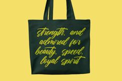 Ciaters Gangster Brush Handwritten Font Product Image 10