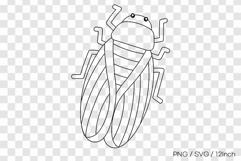 Detailed summer cicada bug big wings PNG animal clipart line Product Image 1