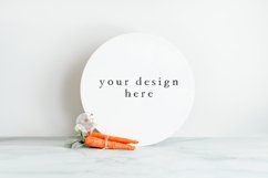 White Blank Rustic Door Sign | Farmhouse Easter &amp; Spring Product Image 1
