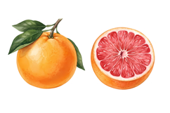 Citrus Png| Fruit Png Product Image 1