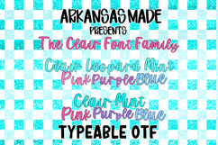 Clair Font Family Leopard and Solid EIGHT OTF Fonts!! Product Image 1