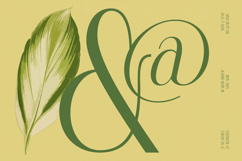 Classic Makore - Modern Display Serif Font Product Image 6