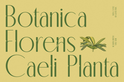 Classic Makore - Modern Display Serif Font Product Image 8