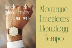 Classic Makore - Modern Display Serif Font Product Image 11