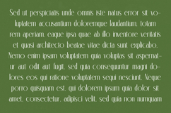 Classic Makore - Modern Display Serif Font Product Image 15