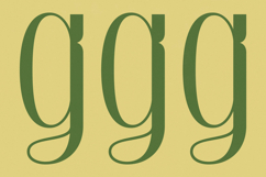 Classic Makore - Modern Display Serif Font Product Image 16