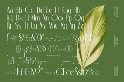 Classic Makore - Modern Display Serif Font Product Image 18