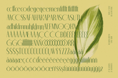 Classic Makore - Modern Display Serif Font Product Image 19