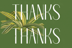 Classic Makore - Modern Display Serif Font Product Image 20