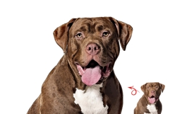 Classic Watercolor Photo Effect Product Image 15