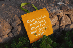 Classica Motion - Decorative Serif Font Product Image 6