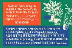 Classica Motion - Decorative Serif Font Product Image 15