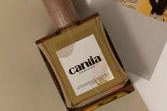 Classicly Font Product Image 3