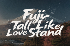 Cleju Bibsha Bold Japanese Style Brush Display Product Image 2