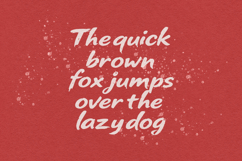 Cleju Bibsha Bold Japanese Style Brush Display Product Image 3