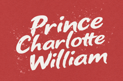 Cleju Bibsha Bold Japanese Style Brush Display Product Image 5