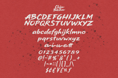 Cleju Bibsha Bold Japanese Style Brush Display Product Image 7