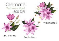 Watercolor Clematis Floral Clipart PNG Sublimation design Product Image 2