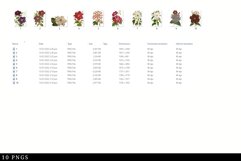 Clementis Vintage Floral Botanical Clip Art Product Image 3
