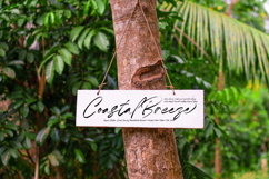 Clestige Rowlandn - Modern Signature Brush Font Product Image 9