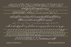 Clestige Rowlandn - Modern Signature Brush Font Product Image 10