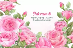 Pink rose clipart. Floral clipart watercolor. Pink roses png Product Image 1