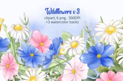 Spring clipart with watercolor wildflowers and chamomiles Product Image 1