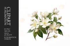 Watercolor jasmine flower clipart sublimation Product Image 1