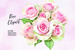 Pink rose watercolor clipart sublimation Product Image 1
