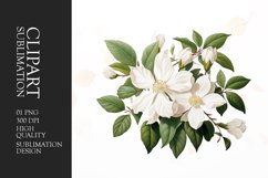 Watercolor jasmine flower clipart sublimation Product Image 1