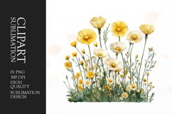 Watercolor buttercups flower clipart sublimation png Product Image 1