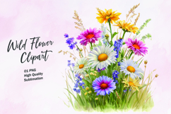 Wildflower watercolor clipart PNG Product Image 1
