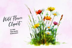 Wildflower watercolor clipart PNG Product Image 1