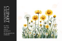 Watercolor buttercups flower clipart sublimation png Product Image 1