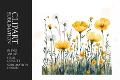 Watercolor buttercups flower clipart sublimation png Product Image 1