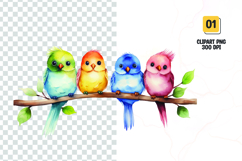 Watercolor colorful cute birds clipart Product Image 1