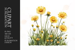 Watercolor buttercups flower clipart sublimation png Product Image 1