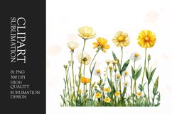 Watercolor buttercups flower clipart sublimation png Product Image 1