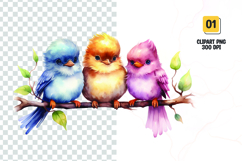 Watercolor colorful cute birds clipart Product Image 1