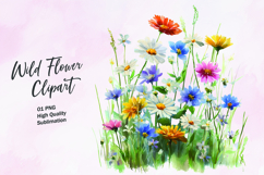 Wildflower watercolor clipart PNG Product Image 1