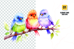 Watercolor colorful cute birds clipart Product Image 1