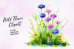 Wildflower watercolor clipart PNG Product Image 1