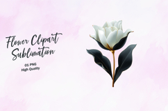 Sleek Tulip in Gold and Black Clipart Sublimation PNG Product Image 1