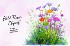 Wildflower watercolor clipart PNG Product Image 1