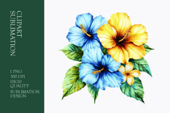 Tropical Flower Watercolor Clipart Sublimation PNG Product Image 1