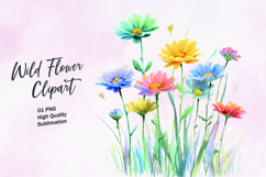 Wildflower watercolor clipart PNG Product Image 1